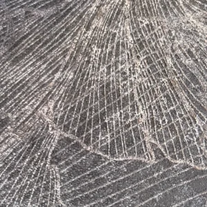 Photo d'un mur décoratif fleuri gris.